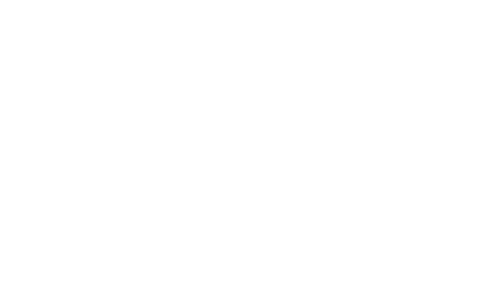 Credit Score 1