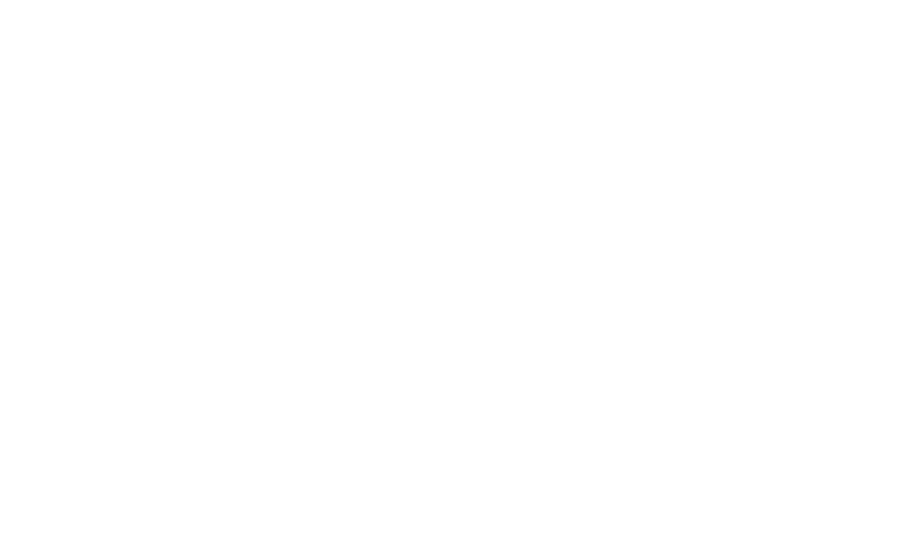 Credit Score 1